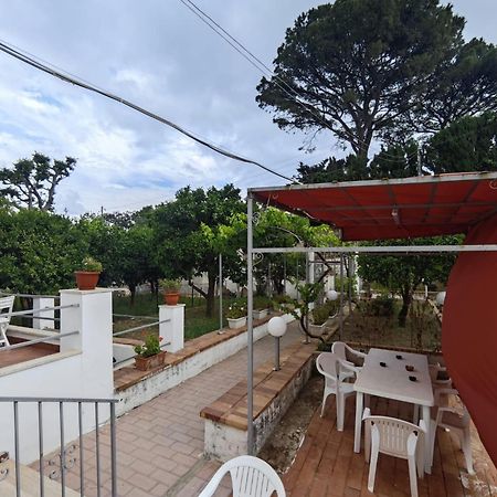 Отель Casa Ferraro Marina Grande  Экстерьер фото